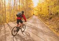 Mountain Bikers 1 Night B&B Special Offer